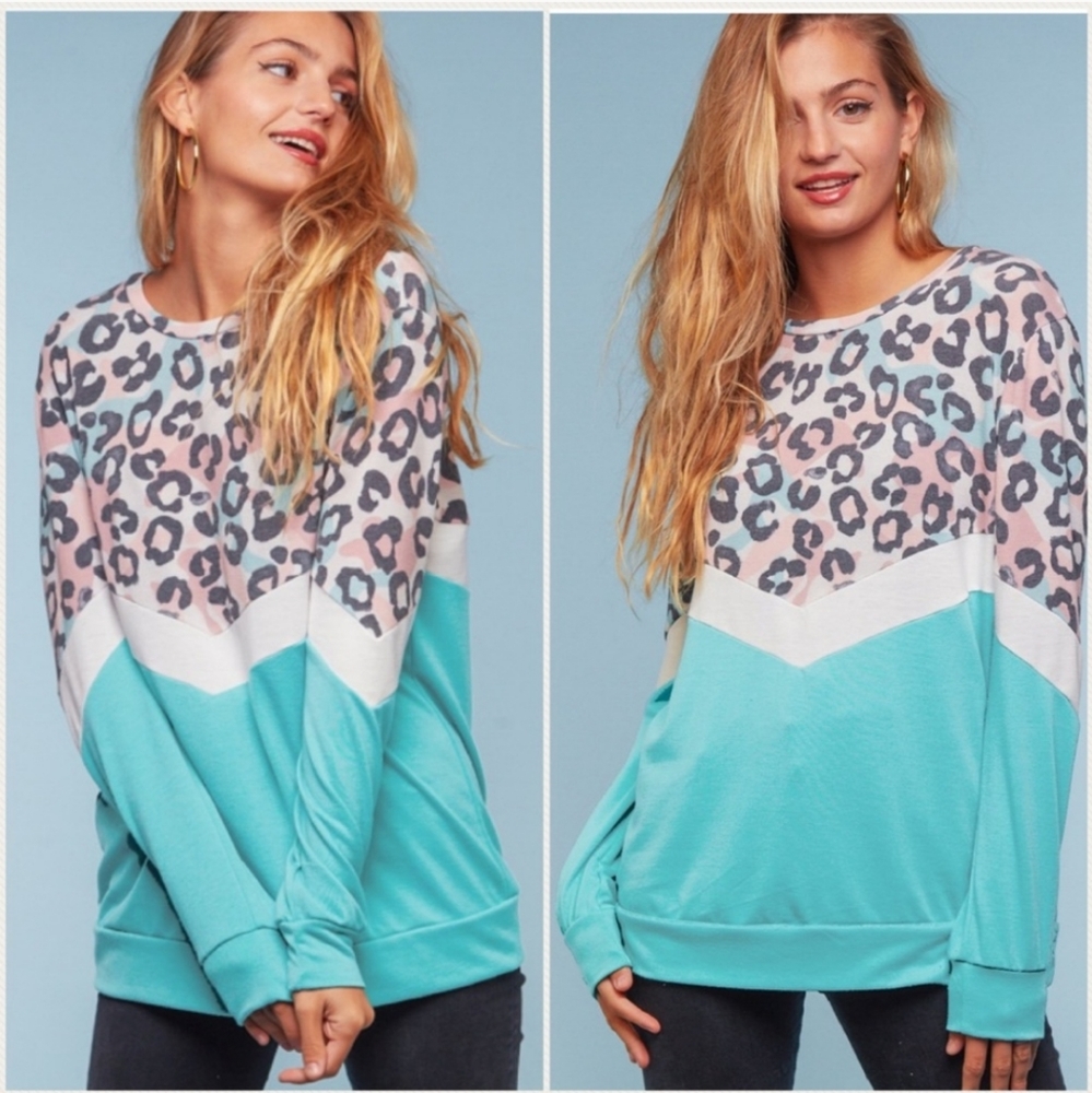 Pastel Leopard/chevron stripe sweater(small)